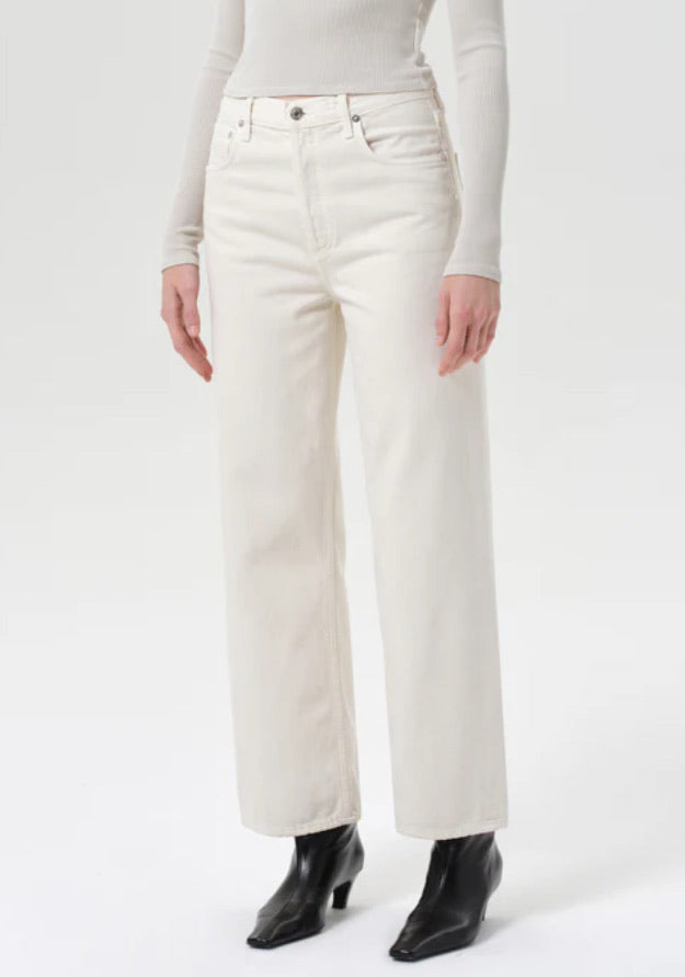 AG1183 Ren Jean