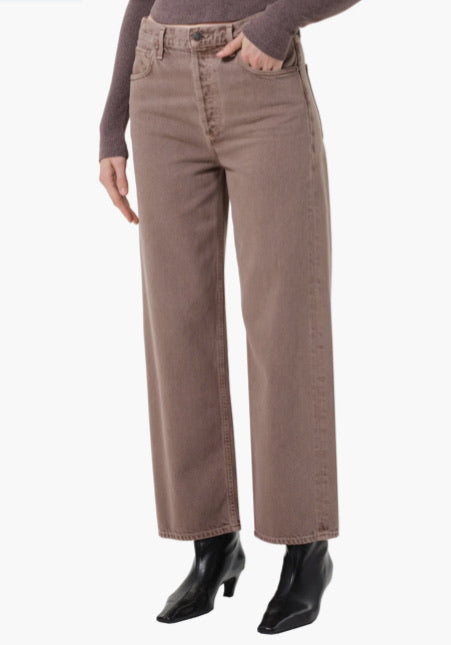 AG1183 Ren Jean